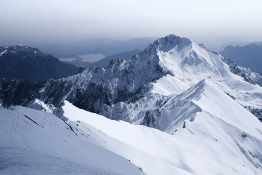 The Origin of Shilajit: From 16,000 Feet in the Himalayas