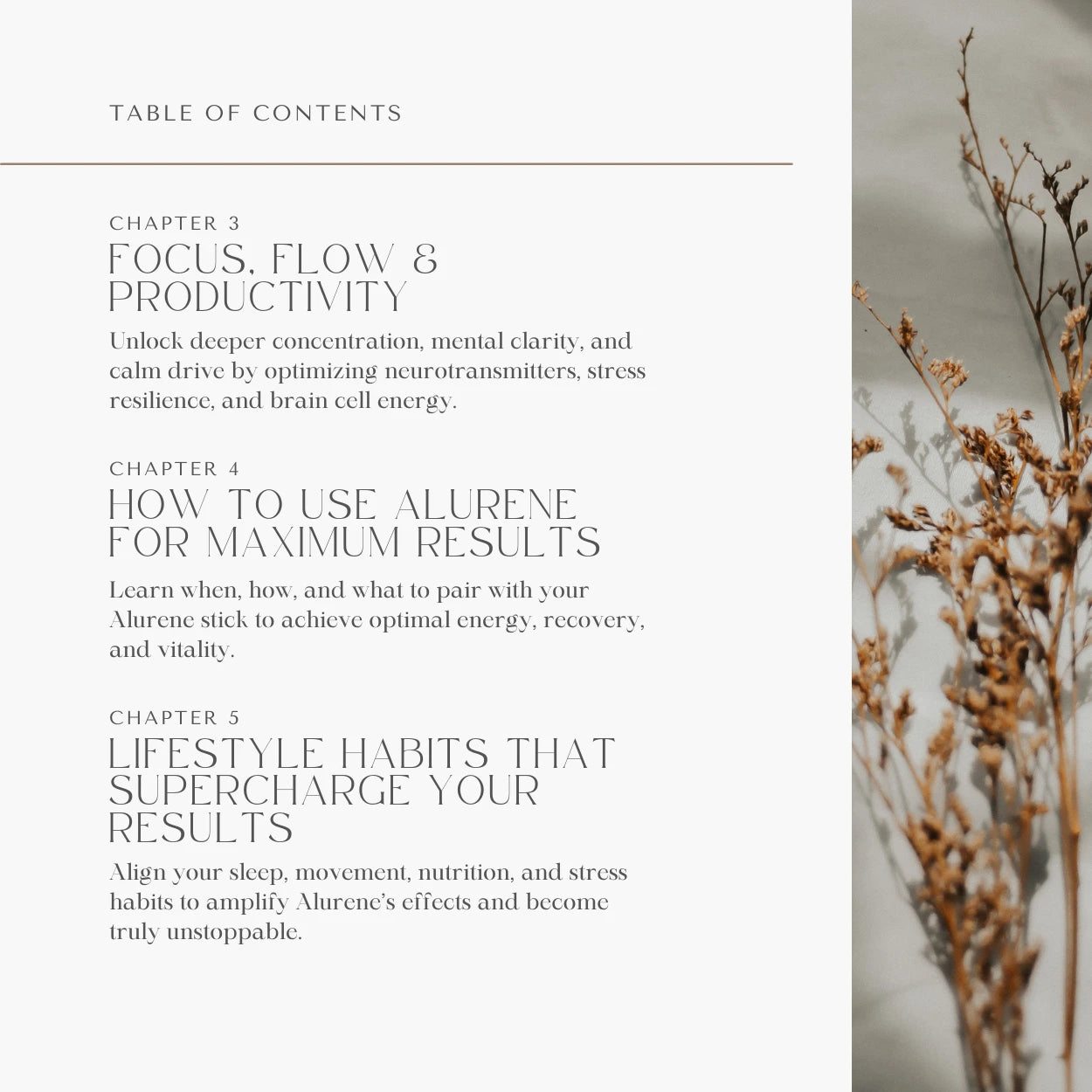 Alurene Holistic Wellness eBook✨
