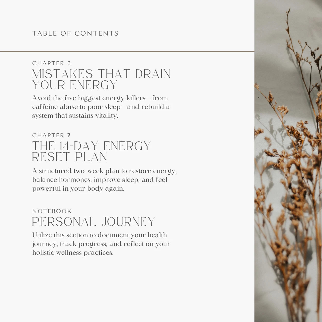 Alurene Holistic Wellness eBook✨
