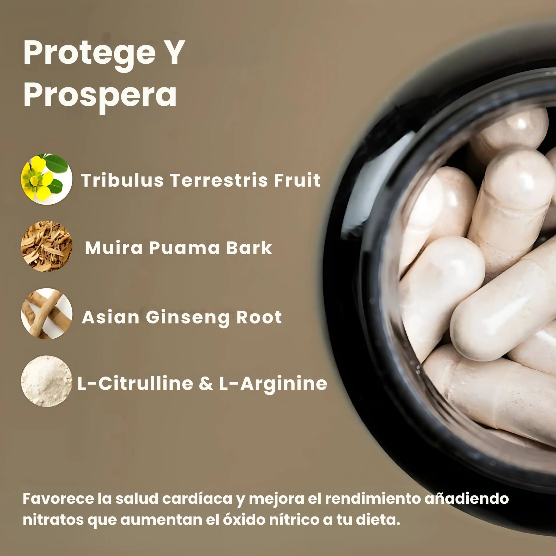 Blood Rush: Nitric Oxide Booster - Alurene