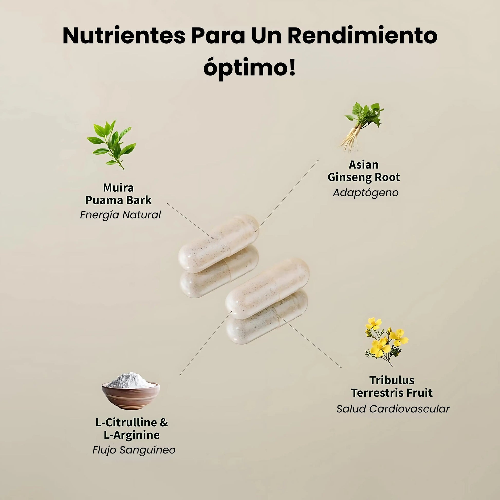 Blood Rush: Nitric Oxide Booster - Alurene