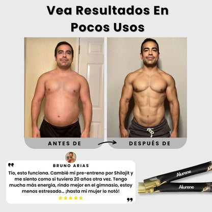 Organic Shilajit Honey Sticks - Alurene